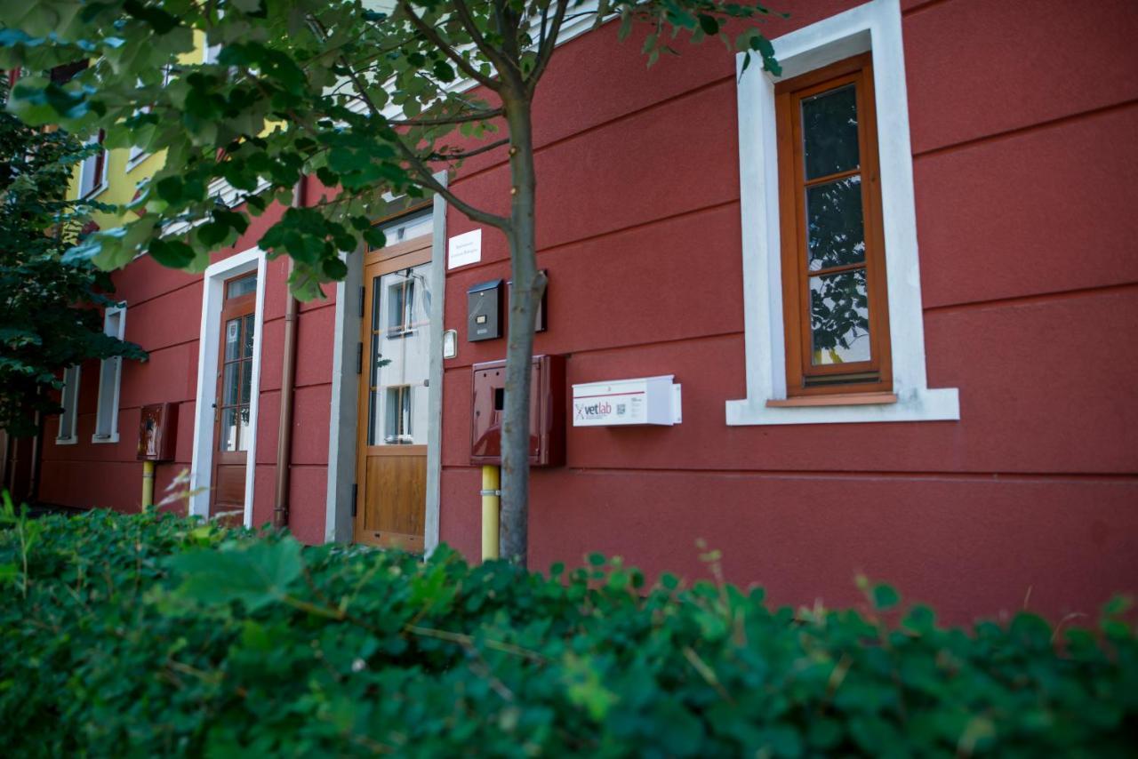 Apartamenty Centrum Biskupiec Biskupiec (Olsztyn) Exterior foto